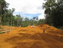 Mengintip Progres Jalan Trans Papua Barat