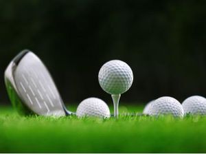 Kemenpar Goda Jepang Merumput di Padang Golf Indonesia