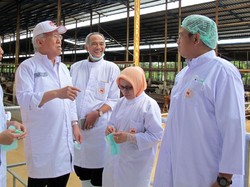 Emiten Ini Bidik Pasar Ekspor ke Jepang