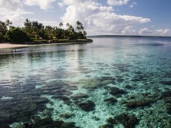 KLHK dan UNDP Susun Buku Keindahan Taman Laut di Indonesia
