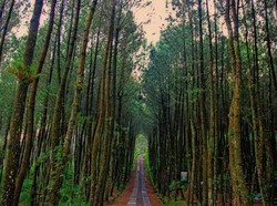 Terkait Hari Lingkungan Hidup, Ini Imbauan KemenLHK untuk Wisatawan