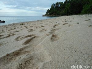 Unik, Pantai Ini Punya Sumur Air Tawar