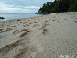 Unik, Pantai Ini Punya Sumur Air Tawar