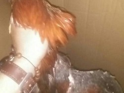 Gerebek Judi Sabung Ayam, Polisi Tangkap 12 Orang