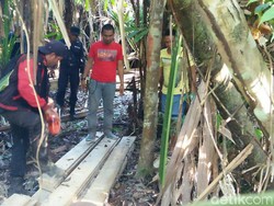 Patroli Karhutla, Tim Polres Pelalawan Temukan Illegal Logging