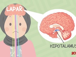 Ini yang Sebenarnya Terjadi Ketika Perut Terasa Lapar