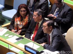 Susi Bakal Dorong Pemberantasan Illegal Fishing di Forum PBB Susi Bakal Dorong Pemberantasan Illegal Fishing di Forum PBB