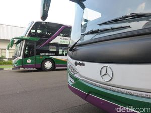 PO Lorena Hobi Pakai Sasis Mercedes-Benz di Armada Busnya, Tembus 500 Unit