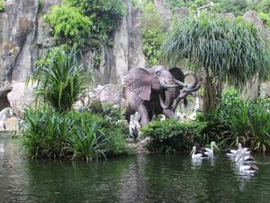 Ngabuburit di Ragunan, Kenapa Tidak?