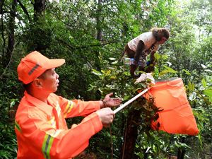 Seekor Monyet di China Bantu Bersihkan Sampah Manusia