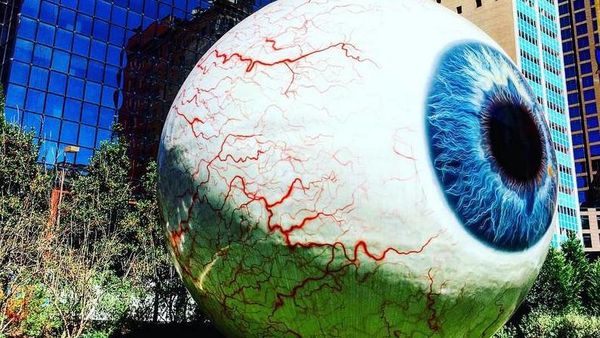 Foto: Bola Mata Raksasa, Keren Atau Ngeri?