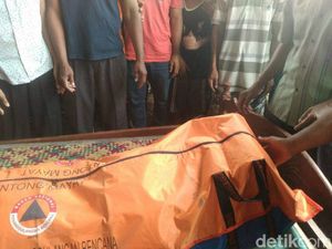 Lagi Cari Rumput, Ibrahim Tewas Diterkam Buaya di Banyuasin