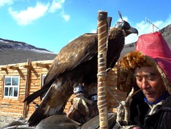 Kisah Muslim Pemburu Elang Legendaris di Mongolia