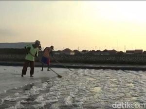 Soal Kasus PT Garam, Susi: Kami Hanya Keluarkan Rekomendasi Impor