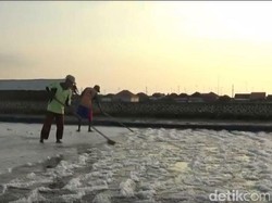 Soal Kasus PT Garam, Susi: Kami Hanya Keluarkan Rekomendasi Impor