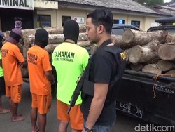 Tebang Pohon di Area Perhutani, 4 Petani Tasikmalaya Masuk Bui