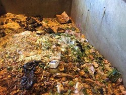 Pasar Sydney Mendaur Ulang Sampah Jadi Listrik