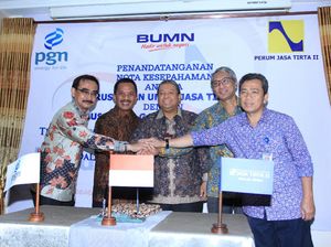 Duet PGN-PJT II Bangun Infrastruktur Pangan Hingga Energi