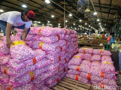Kementan Minta Importir Segera Pasok Bawang Putih ke Pasar