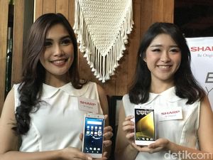 Aksi Ponsel Sharp M1 dan Z2 yang Menggoda