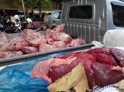 Polresta Surakarta Musnahkan 3 Ton Daging Celeng asal Lampung