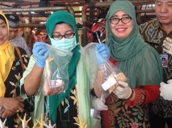 Pemkot Jaktim dan BPOM Cek Pangan di Pasar Kramat Jati