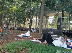 Sebagian Massa Aksi Bela Ulama 96 Tidur di Bawah Pohon