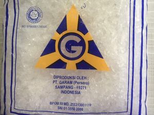 Jadi Tersangka, Dirut PT Garam Diberhentikan Sementara Jadi Tersangka, Dirut PT Garam Diberhentikan Sementara