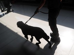 6 Anjing Pelacak Disiagakan Daop Bandung Selama Nataru