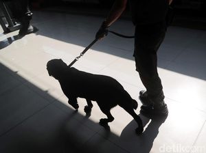 6 Anjing Pelacak Disiagakan Daop Bandung Selama Nataru 6 Anjing Pelacak Disiagakan Daop Bandung Selama Nataru