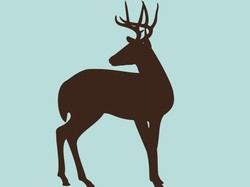 Hendak Berburu, Kakek Ini Tewas Diserang Rusa