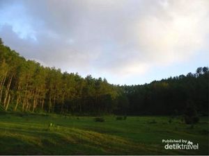 Ponorogo Punya Potensi Wisata yang Menjanjikan