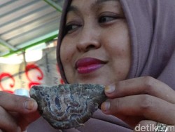 Wanita Pemilik Warung Ini Kaget Temukan Daging Menyerupai Lafaz Allah