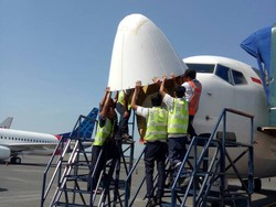 Ombudsman: Pilot Sudah Dilatih Hindari Tabrakan dengan Burung