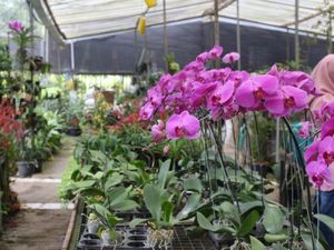 7 Tempat Instagramable di Jakarta, Cocok untuk Weekend 7 Tempat Instagramable di Jakarta, Cocok untuk Weekend