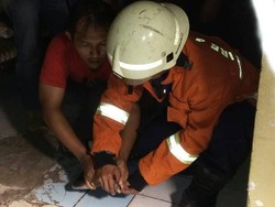 Petugas Damkar Tangkap Kobra 1,5 Meter yang Masuk Rumah di Ciracas