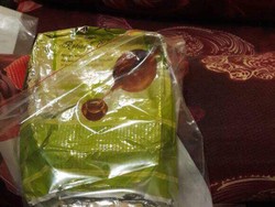 BNN Tangkap Pasutri Pembawa 1,5 Kg Sabu di Palembang