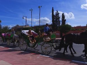 Tour Leader Erwin Ditampung KBRI Rabat, Pulang Belum Pasti Tour Leader Erwin Ditampung KBRI Rabat, Pulang Belum Pasti