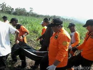 Seorang Kakek Ditemukan Tewas di Tengah Ladang Tebu di Kudus
