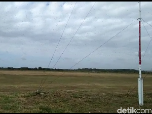 Bupati Sumba Timur Tetapkan Serbuan Belalang Kembara sebagai KLB