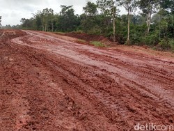 Aspal hingga Lumpur di Jalanan Merauke