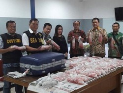 Bayi Lobster Selundupan Dijual Rp 50.000-100.000/Ekor