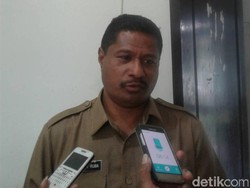 1 Ton Pestisida Disiapkan untuk Setop Teror Belalang di NTT