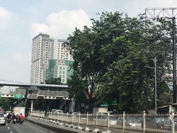 Terjebak Macet 3 Jam di Mampang, Nissa Pilih Jalan Kaki 4 Km