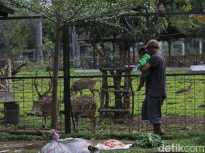 Penangkaran Rusa Jadi Tempat Ngabuburit Warga Soreang Bandung