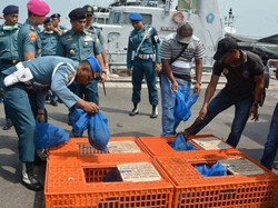 TNI Gagalkan Penyelundupan Trenggiling Rp 2,5 M Calon Bahan Sabu