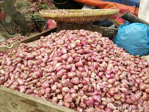 Pasokan Surplus, Bawang Merah RI Mau Diekspor