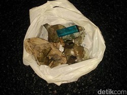 Ini Penampakan Molotov yang Dilempar ke Rumah Dirut TransJ