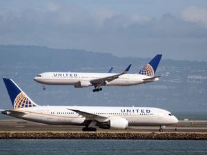 Ngeri! Ada Ular di Kabin Pesawat United Airlines, Penumpang Menjerit Ngeri! Ada Ular di Kabin Pesawat United Airlines, Penumpang Menjerit