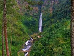 Curug Bajing yang Segar dari Pekalongan